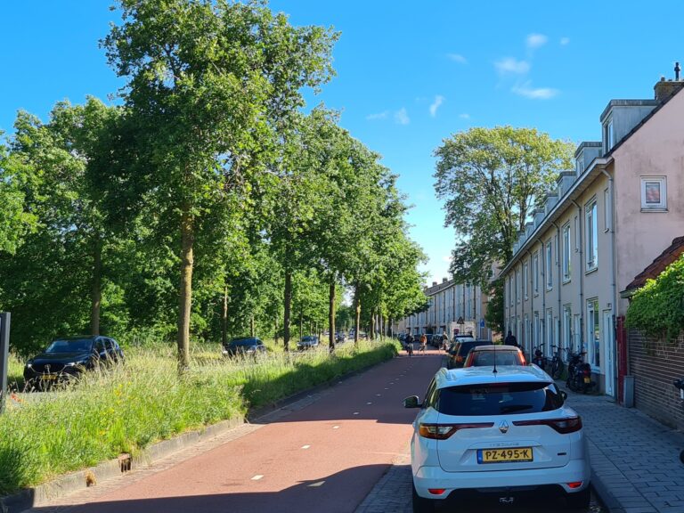 26 juni 20:00 – Koeltesafari