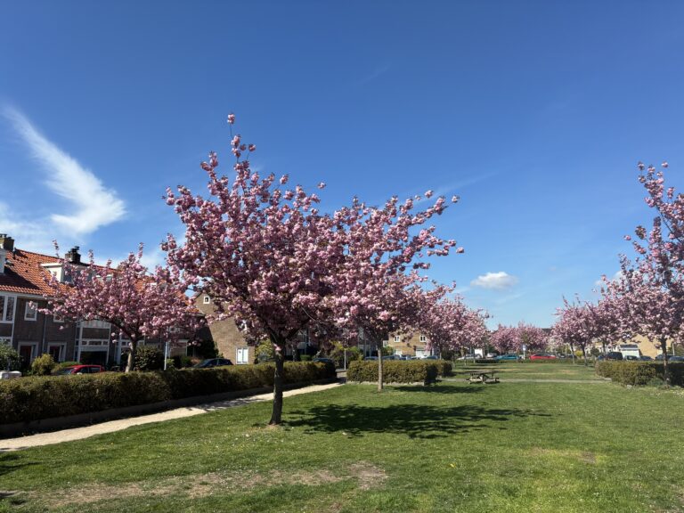 8 april 11:00- 17:00 | Straatactie isolatie in de Vogelenwijk