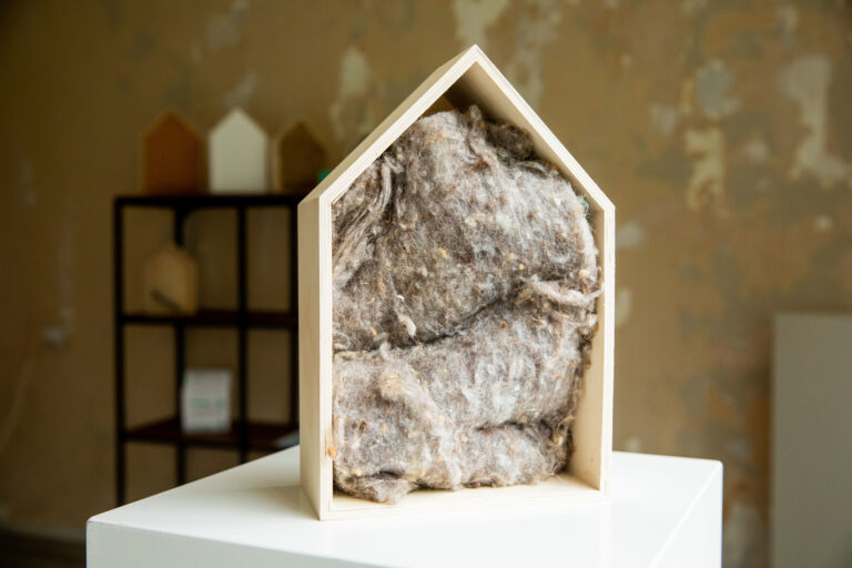 Isolatieactie, subsidie, hoe zit het nu precies? (update 11-04-2026)